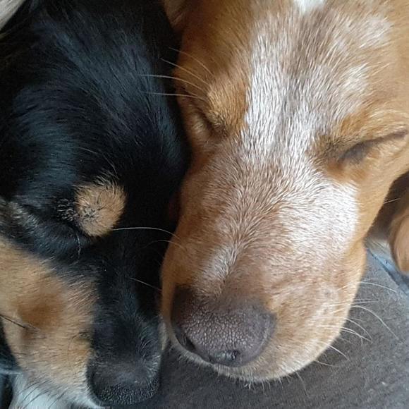 Meet your Posher, Angela - Picture 1 of 1